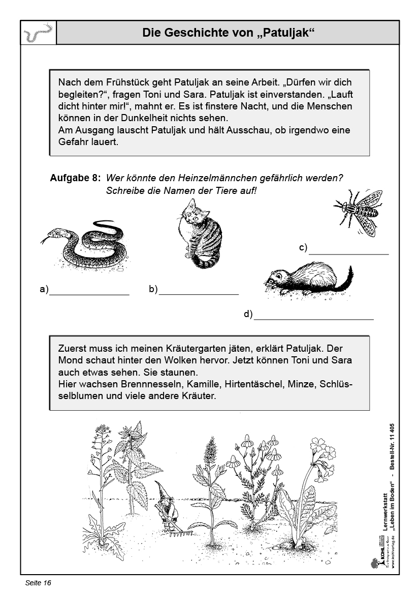 Lernwerkstatt Leben im Boden