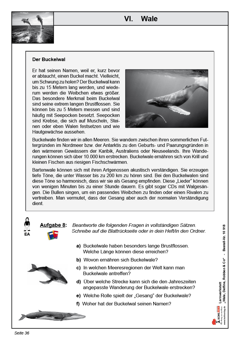 Lernwerkstatt Wale, Delfine, Robben & Co. Lernwerkstatt Wale, Delfine, Robben & Co.