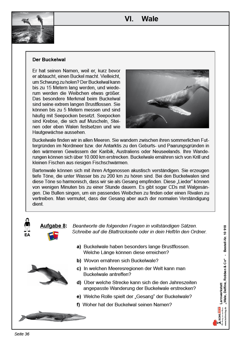 Lernwerkstatt Wale, Delfine, Robben & Co.