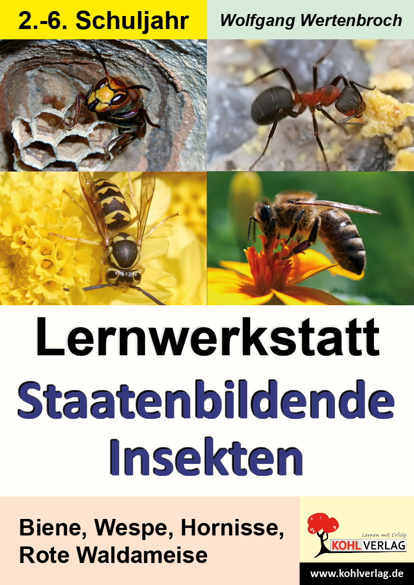 Lernwerkstatt Staatenbildende Insekten