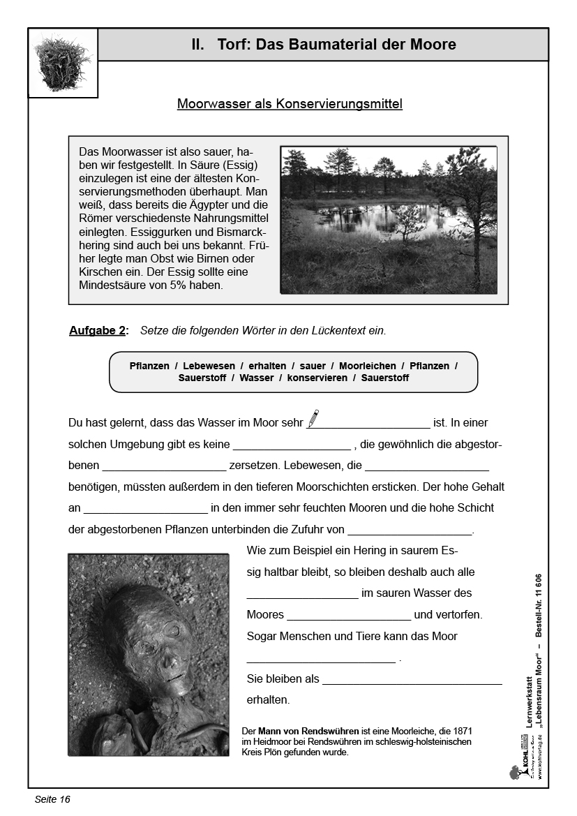 Lernwerkstatt Lebensraum Moor