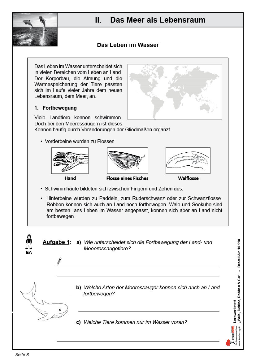 Lernwerkstatt Wale, Delfine, Robben & Co.