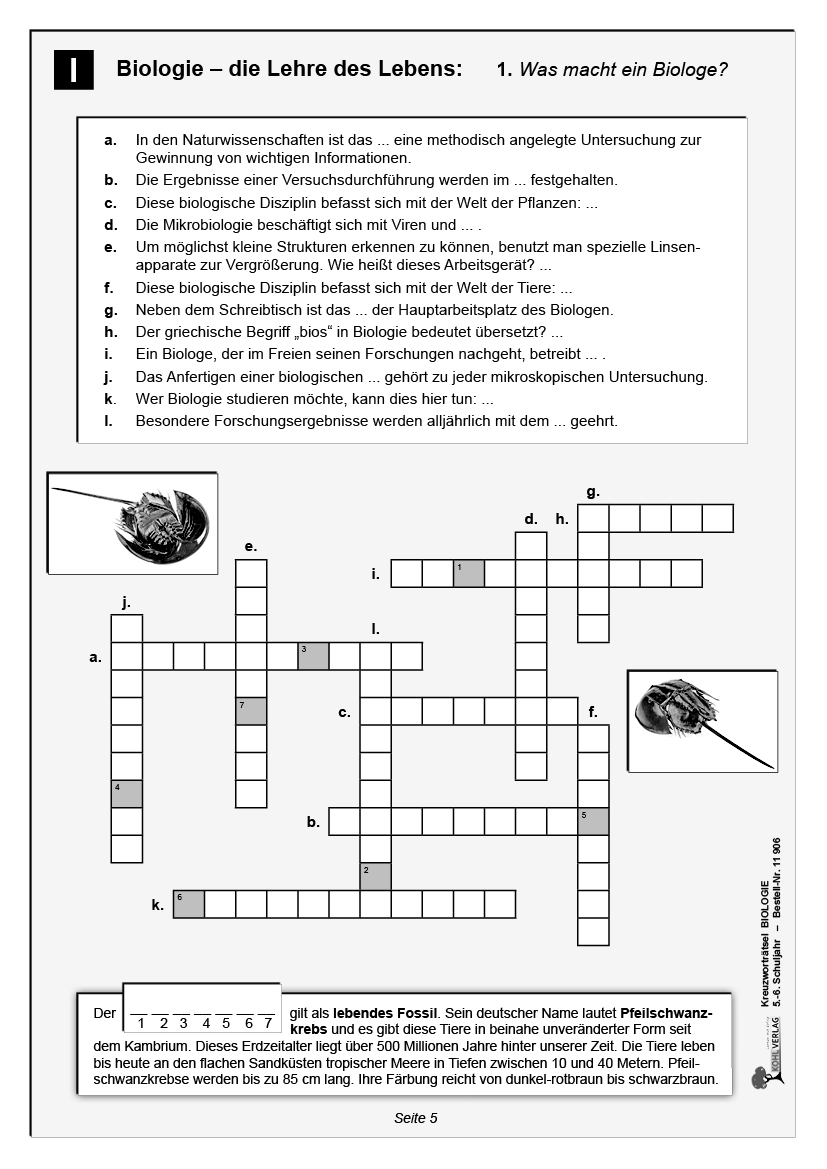 Kreuzworträtsel Biologie / Klasse 5-6