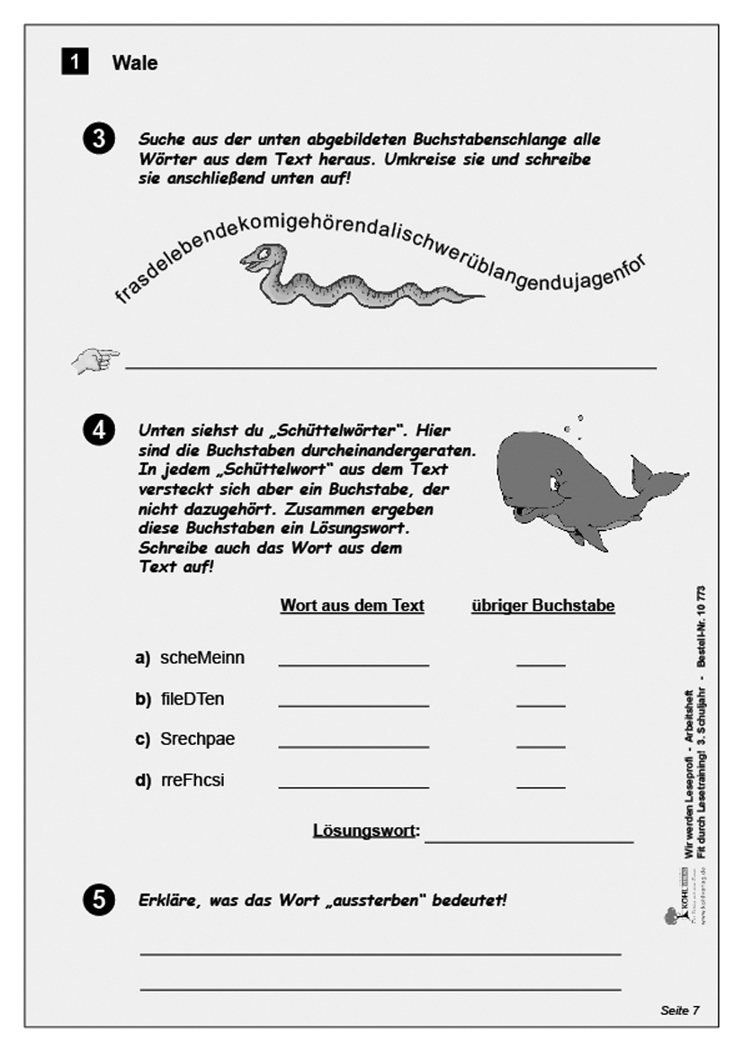 Wir werden Leseprofi - Arbeitsheft / Klasse 3