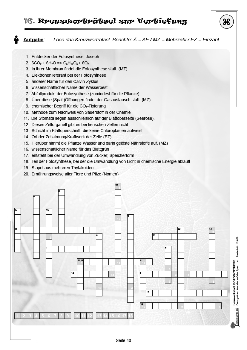 Lernwerkstatt Fotosynthese