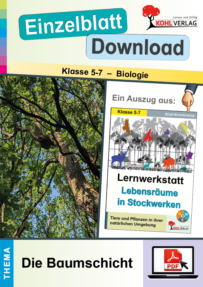 Lernwerkstatt Lebensräume in Stockwerken / Die Baumschicht