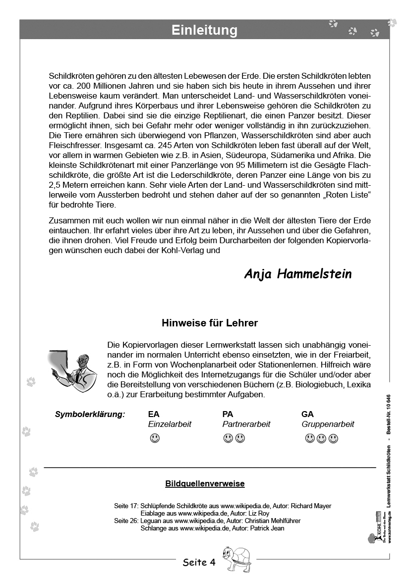 Lernwerkstatt Schildkröten Lernwerkstatt Schildkröten