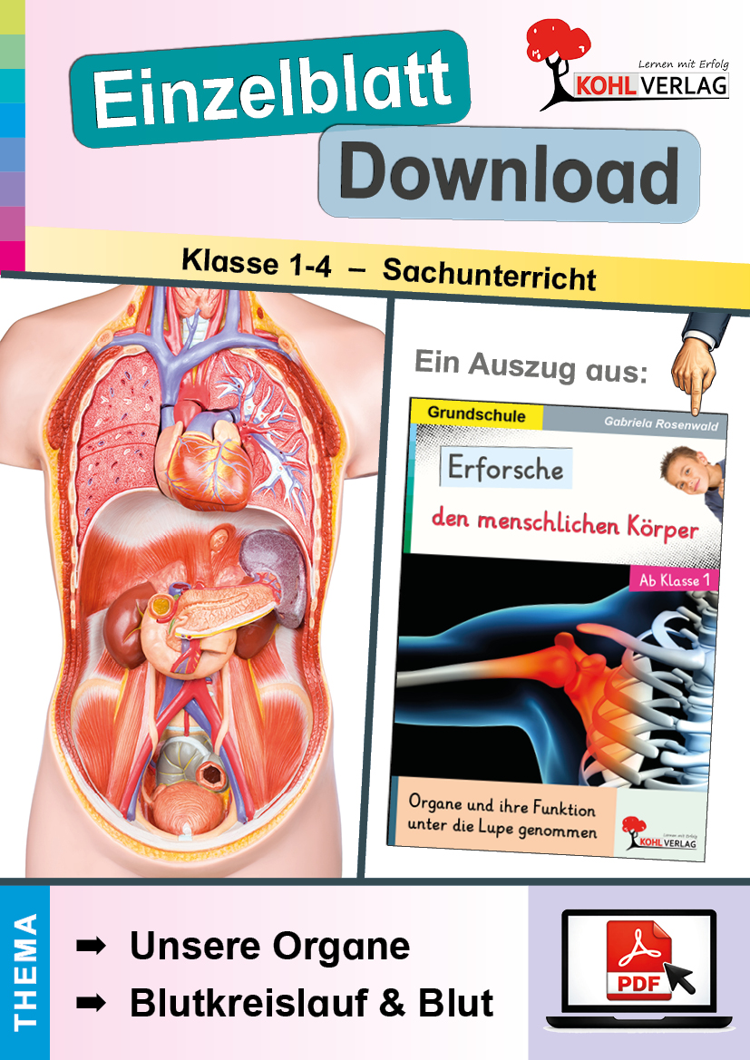 Erforsche den menschlichen Körper / Unsere Organe & Blutkreislauf und Blut
