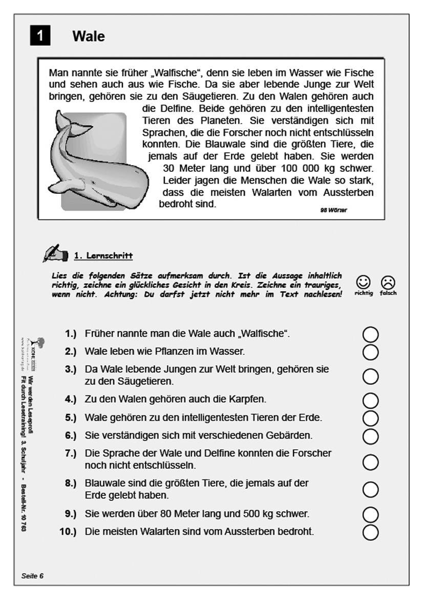Wir werden Leseprofi / Klasse 3