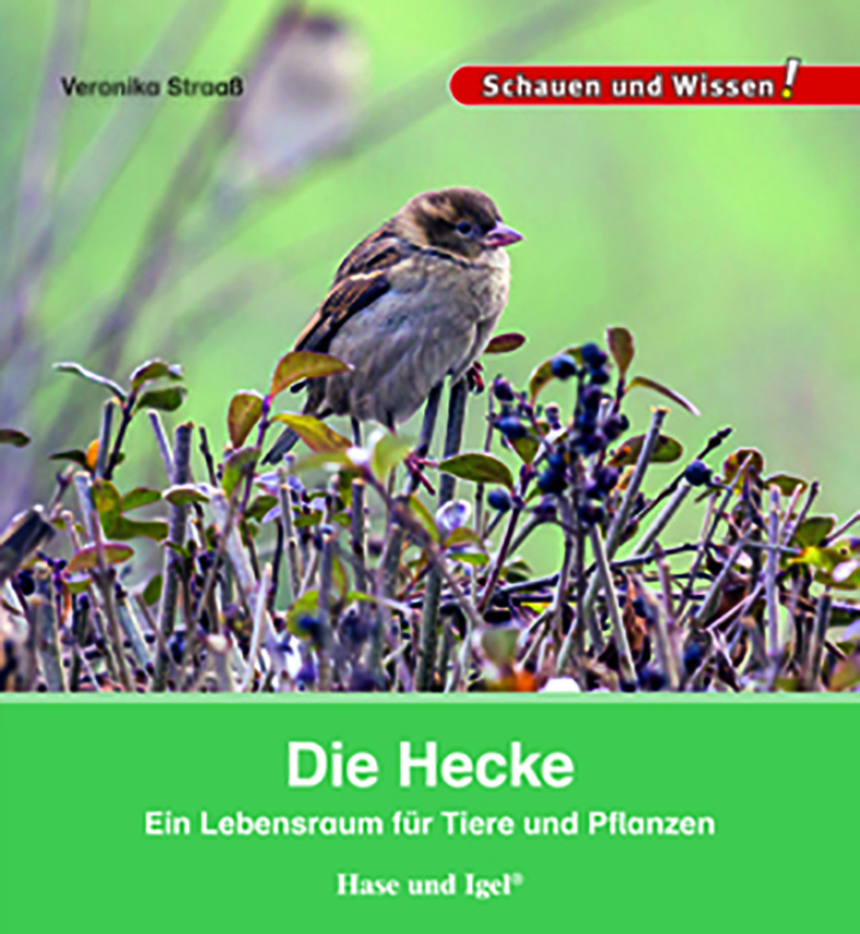 Die Hecke