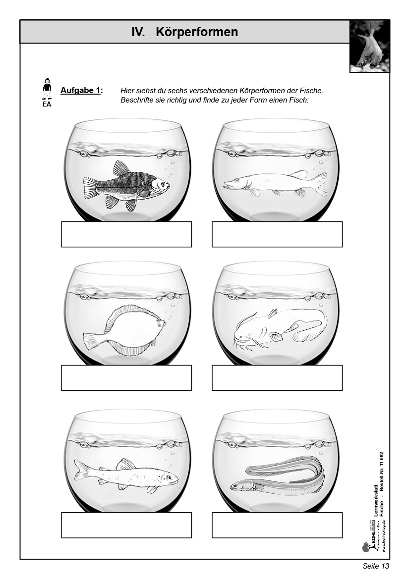 Lernwerkstatt Fische Lernwerkstatt Fische