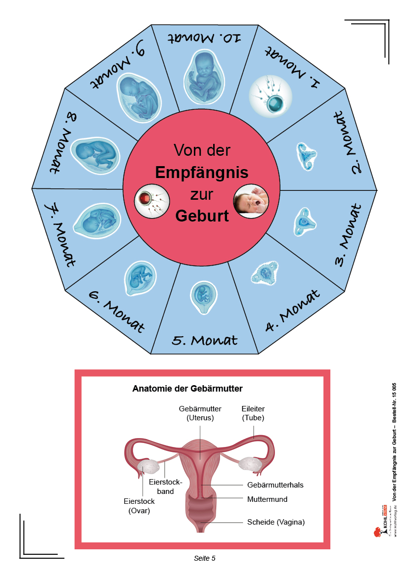 Von der Empfängnis zur Geburt