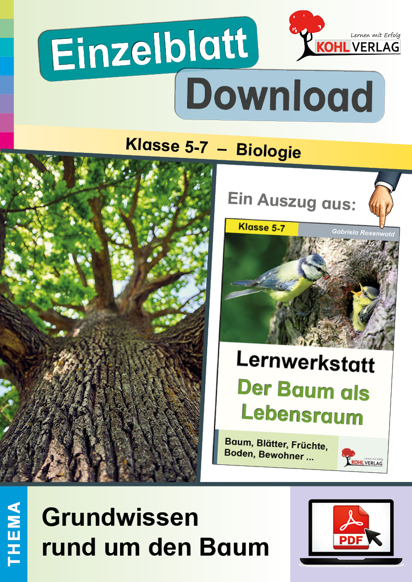 Lernwerkstatt Der Baum als Lebensraum / Grundwissen rund um den Baum