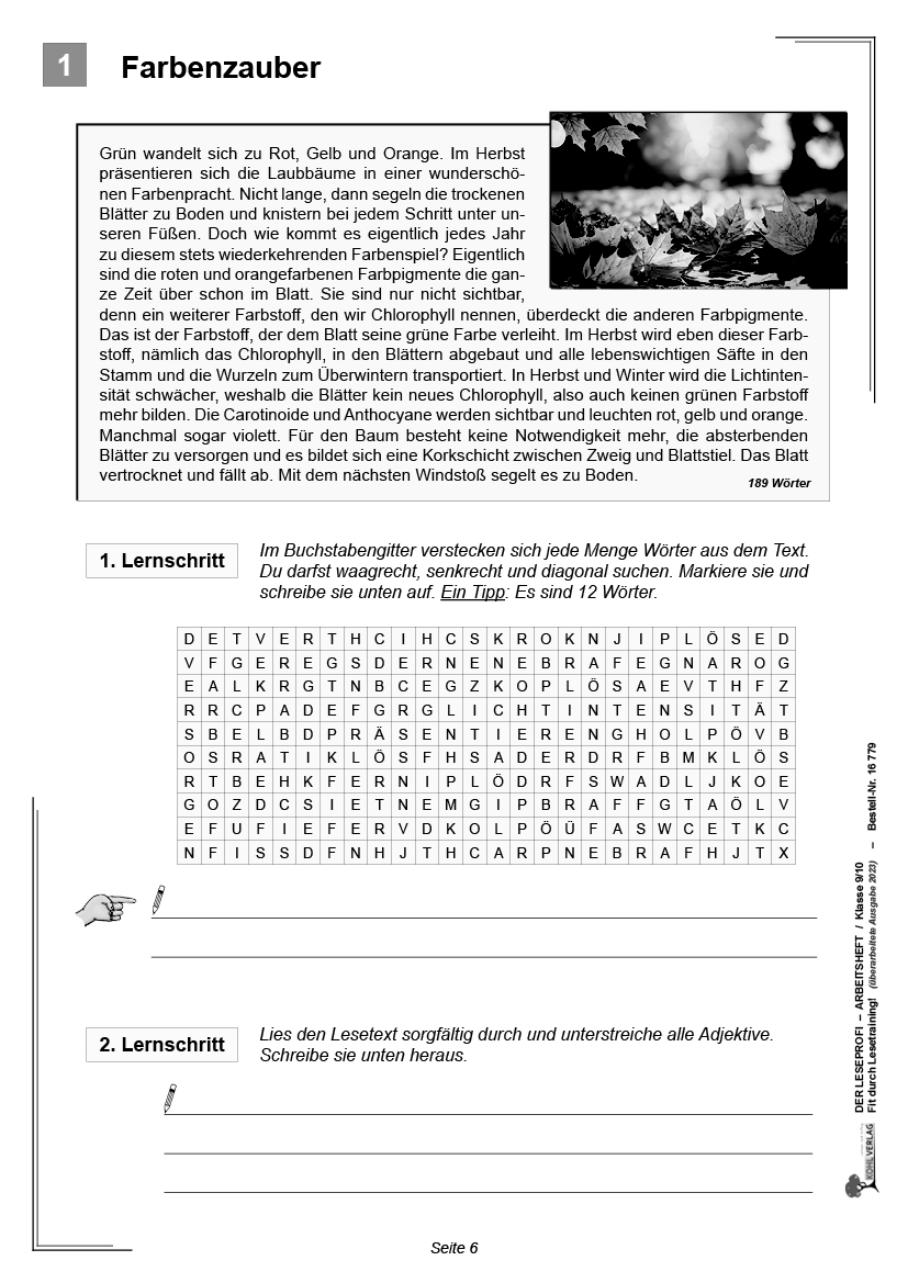 Der Leseprofi - Arbeitsheft / Klasse 9-10