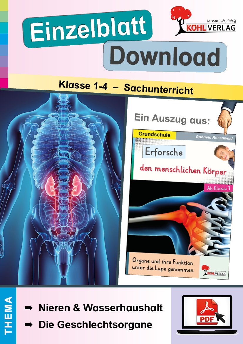 Erforsche den menschlichen Körper / Nieren und Wasserhaushalt & Die Geschlechtsorgane