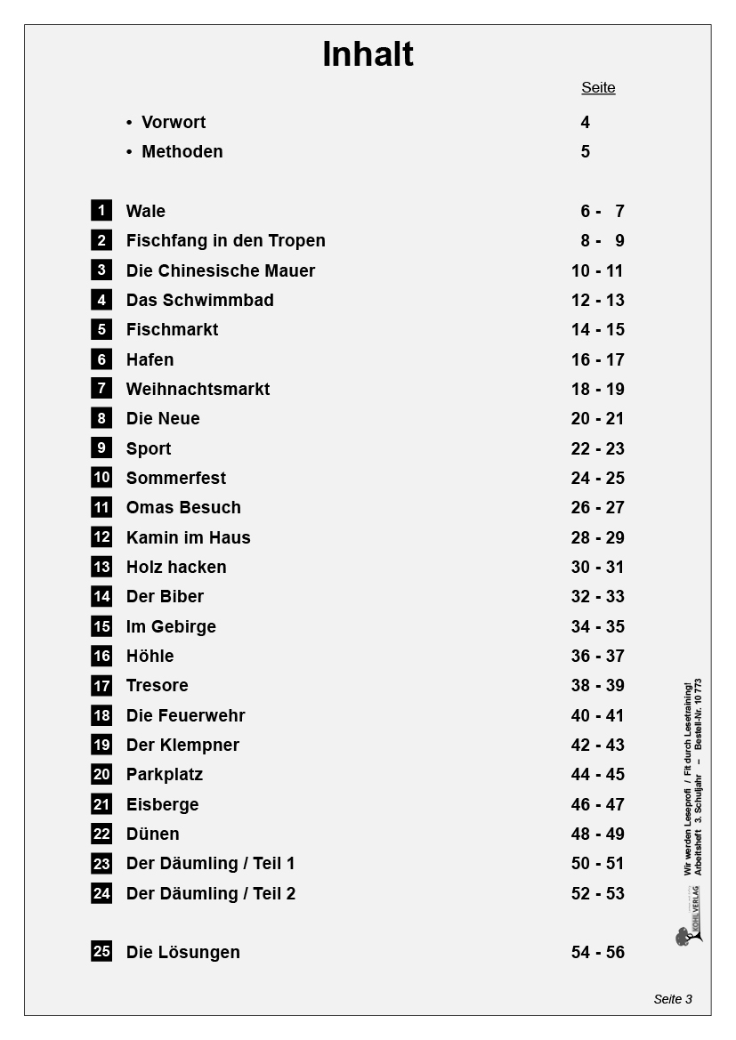 Wir werden Leseprofi - Arbeitsheft / Klasse 3