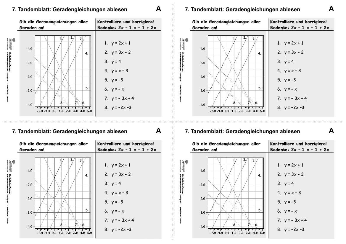 Kohls Mathe-Tandem / Klasse 8