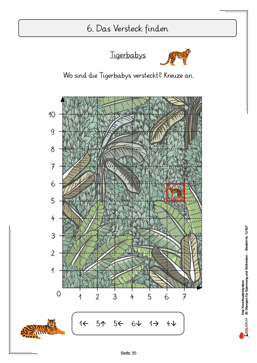 Das Koordinatensystem