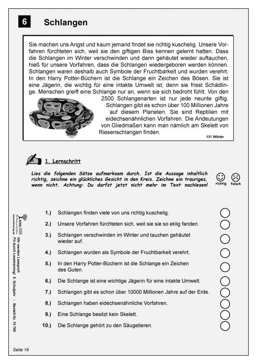 Wir werden Leseprofi / Klasse 5