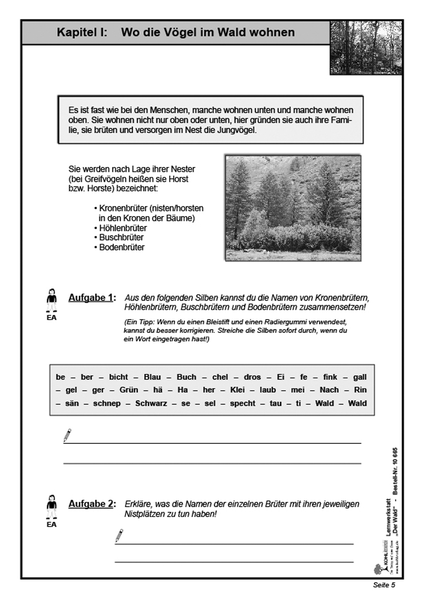 Lernwerkstatt Der Wald