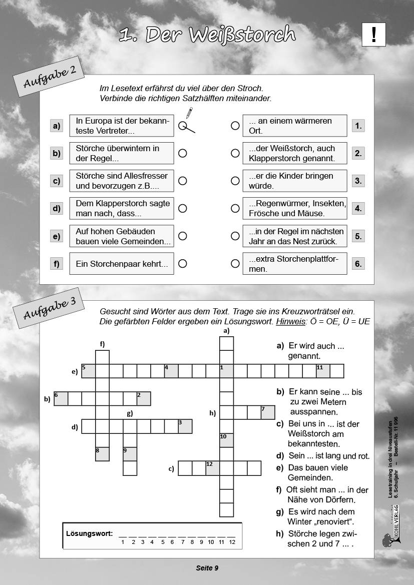 Lesetraining in drei Niveaustufen / Klasse 6