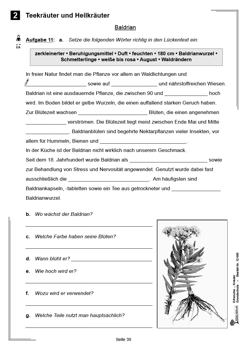 Erforsche ... Kräuter Erforsche ... Kräuter
