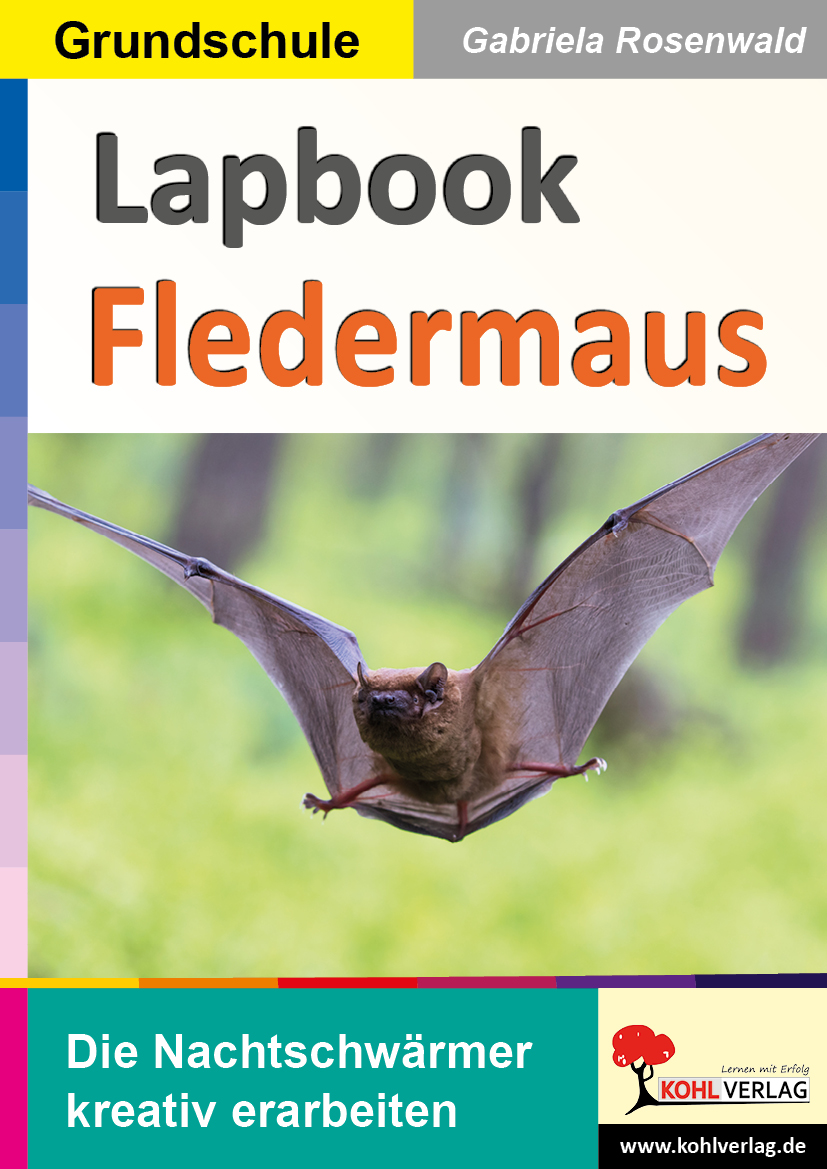 Lapbook Fledermaus