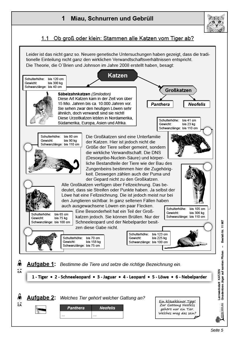 Lernwerkstatt Katzen Lernwerkstatt Katzen