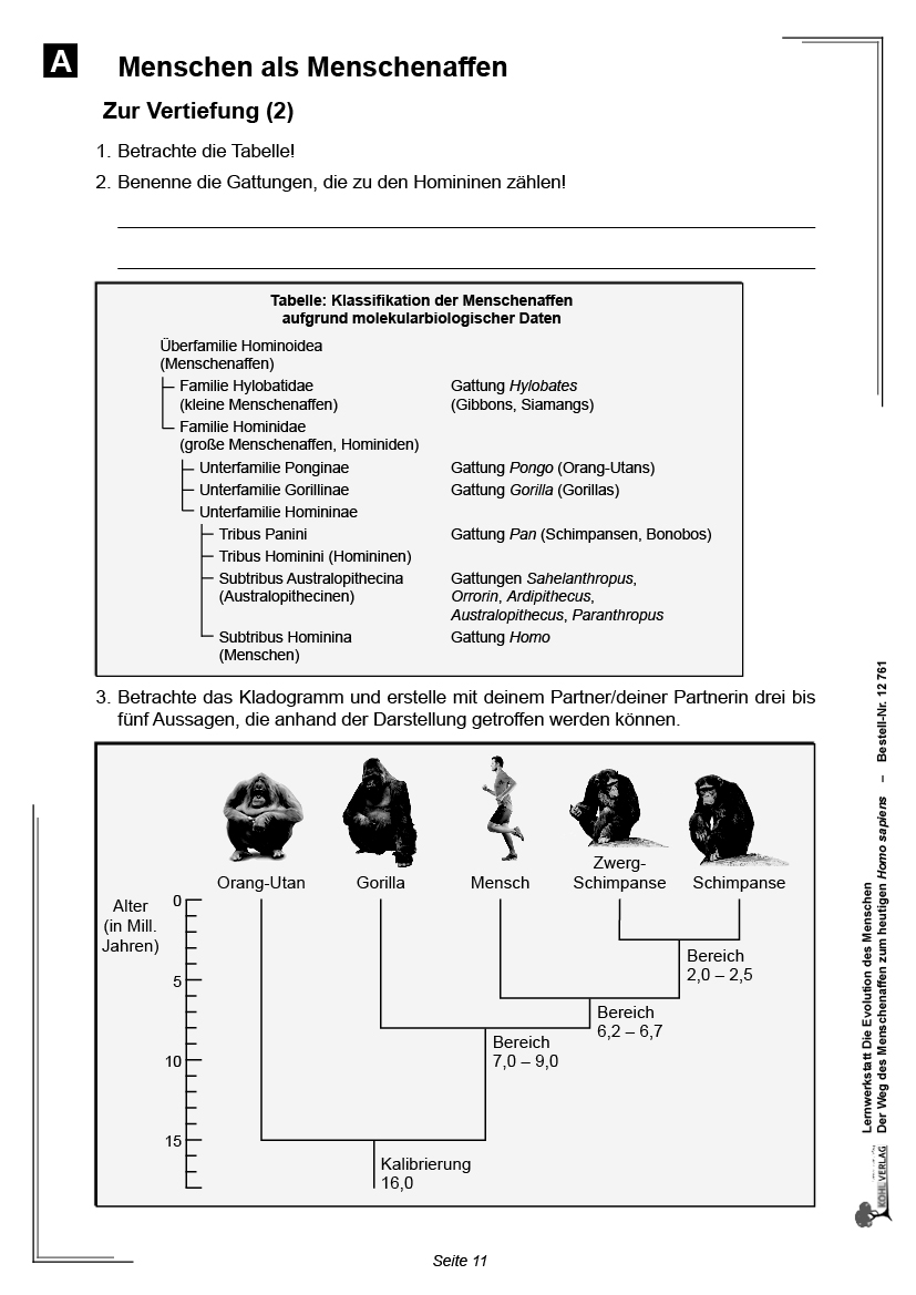 Lernwerkstatt Die Evolution des Menschen