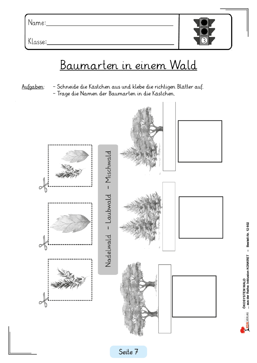 Ökosystem Wald