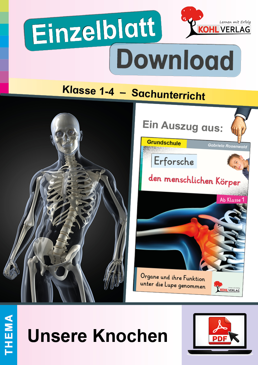 Erforsche den menschlichen Körper / Unsere Knochen