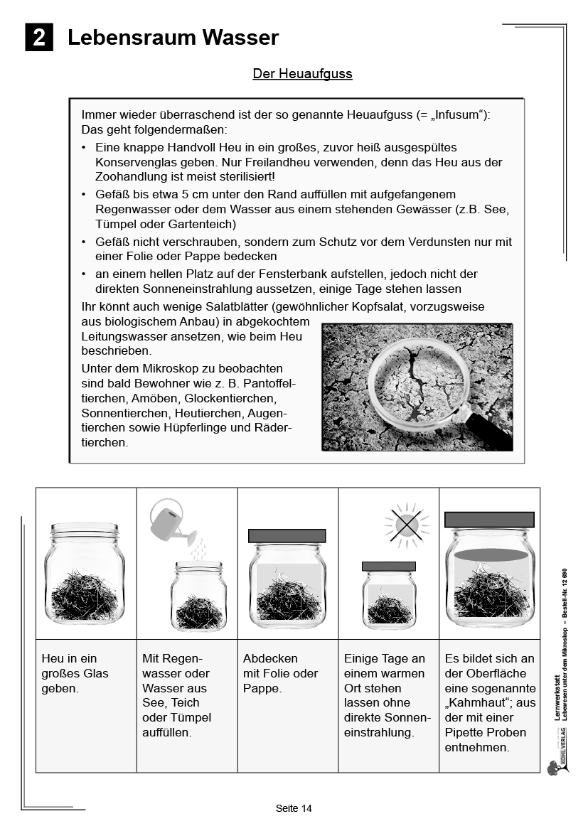 Lernwerkstatt Lebewesen unter dem Mikroskop / Klasse 3-4