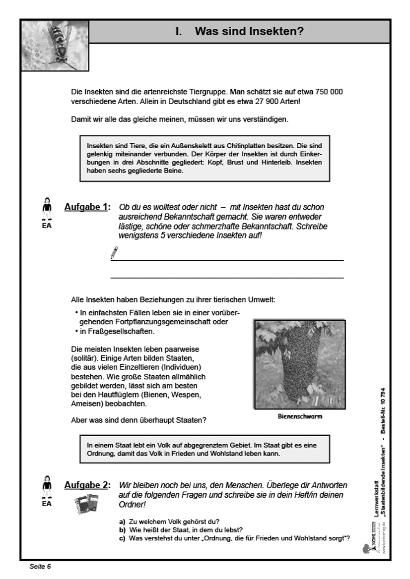 Lernwerkstatt Staatenbildende Insekten Lernwerkstatt Staatenbildende Insekten