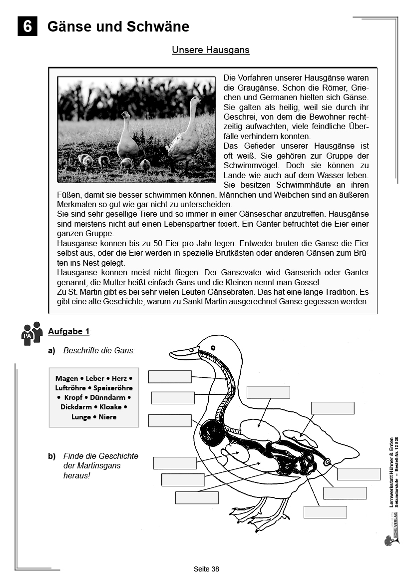 Lernwerkstatt Hühner & Enten / Sekundarstufe Lernwerkstatt Hühner & Enten / Sekundarstufe