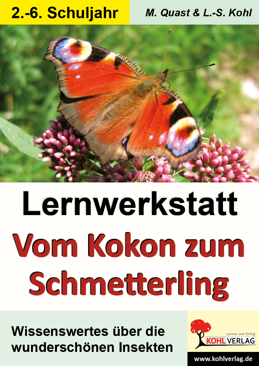 Lernwerkstatt Schmetterlinge – P10657