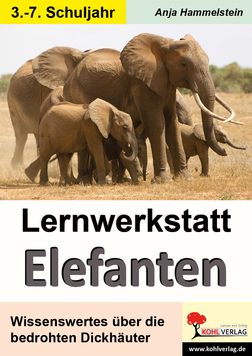 Lernwerkstatt Elefanten – P10968