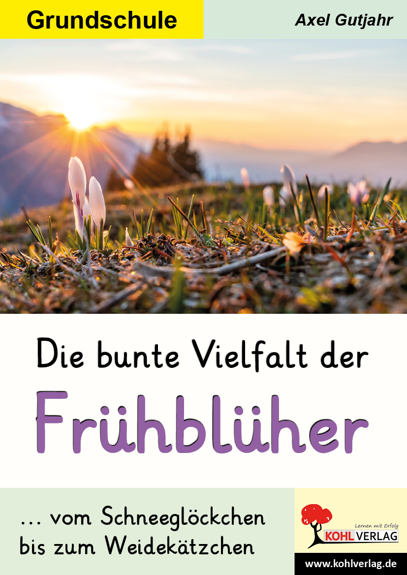 Die bunte Vielfalt der Frühblüher – P13097