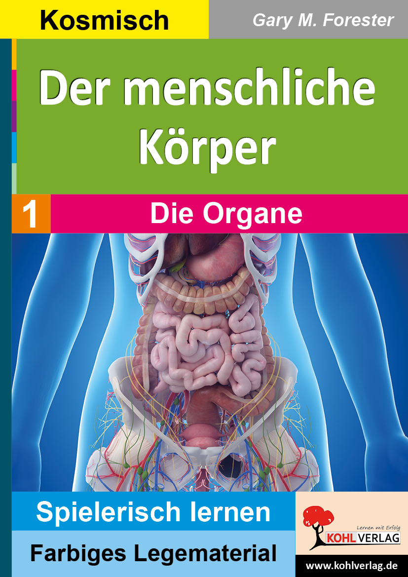 Der menschliche Körper / Die Organe – P15077