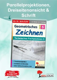 P13167