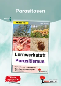 P13203