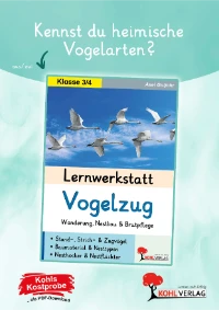 P13208