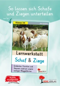 P13234