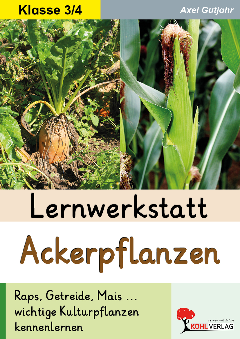 Lernwerkstatt Ackerpflanzen – P13287