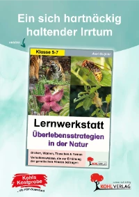 P13284