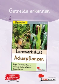 P13287
