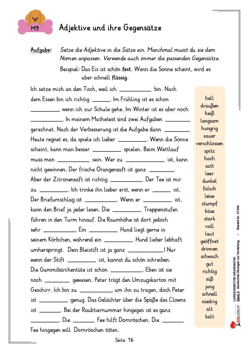 Lerneinheiten Grammatik / Band 3: Gemischte Übungen zur Vertiefung