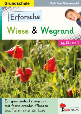 Erforsche Wiese und Wegrand-P12478